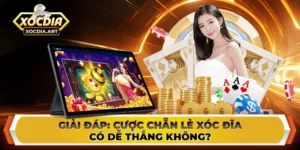 Giải đáp: Cược chẵn lẻ xóc đĩa có dễ thắng không?