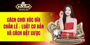 Cách chơi xóc đĩa chẵn lẻ – Luật cơ bản và cách đặt cược