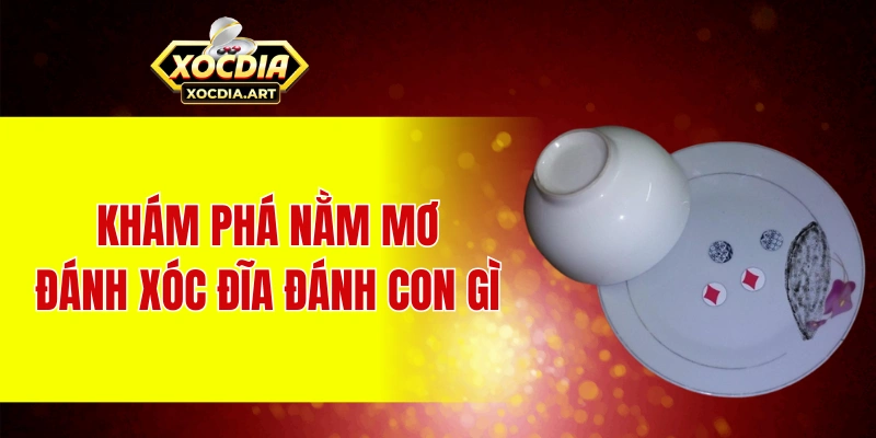 Khám phá nằm mơ đánh xóc đĩa đánh con gì