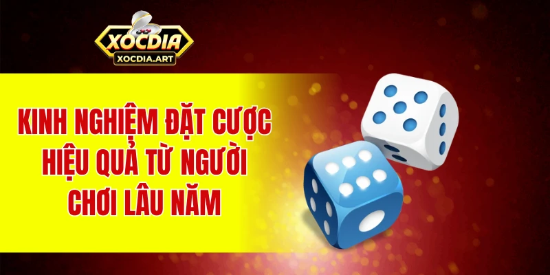 Kinh nghiệm đặt cược hiệu quả từ người chơi lâu năm