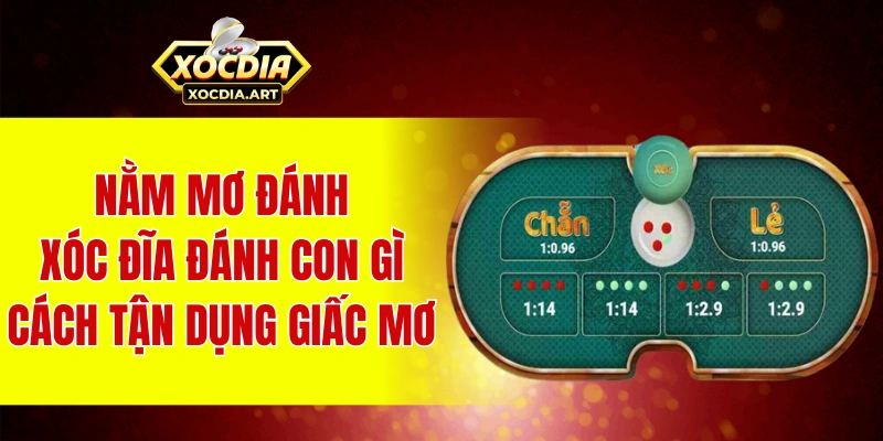 Nằm mơ đánh xóc đĩa đánh con gì - Cách tận dụng giấc mơ