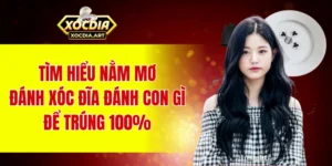 Tìm hiểu nằm mơ đánh xóc đĩa đánh con gì để trúng 100%