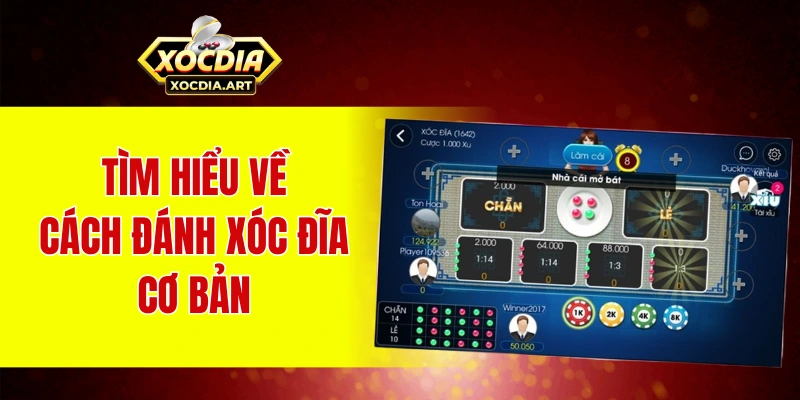 Khám phá cách đánh xóc đĩa - Phương pháp đặt cược chuẩn 100% Tìm hiểu về cách đánh xóc đĩa cơ bản